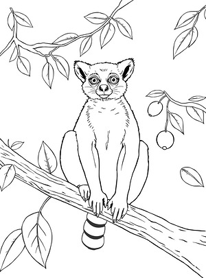 Ring-Tailed Lemur on Branch - Printable coloring page