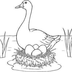Geese Nest by Water - Printable coloring page