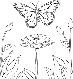 Butterfly on Stem - Printable coloring page
