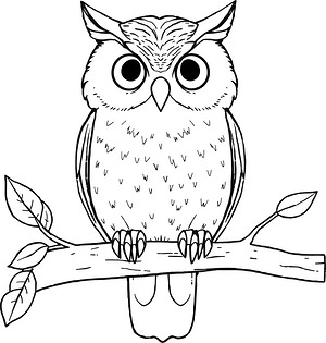 Owl on Tree Branch - Printable coloring page