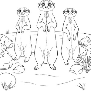 Meerkat Family Alert - Printable coloring page