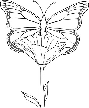 Butterfly on Flower Petal - Printable coloring page