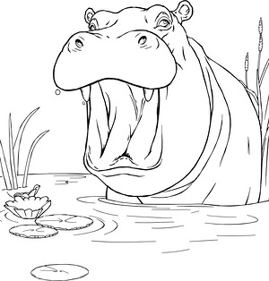 Hippo Yawning Wide - Printable coloring page