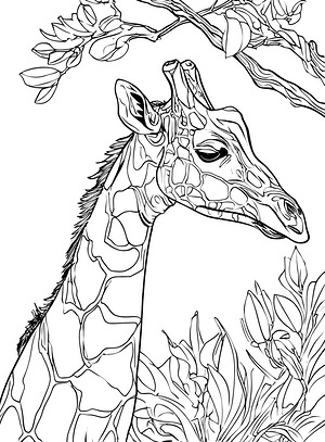 Giraffe Eating Twigs - Printable coloring page