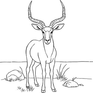 Antelope on Open Plain - Printable coloring page