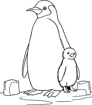 Emperor Penguin Family - Printable coloring page