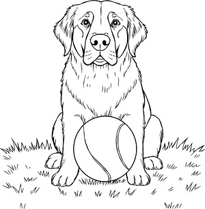 Golden Retriever with Ball - Printable coloring page