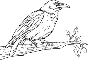 Watchful Bird on Branch - Printable coloring page