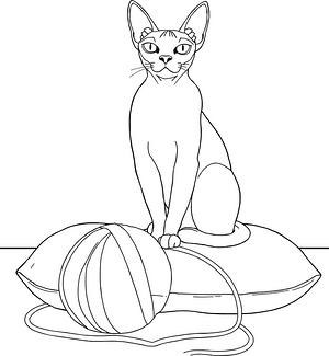 Sphynx Cat on Cushion - Printable coloring page