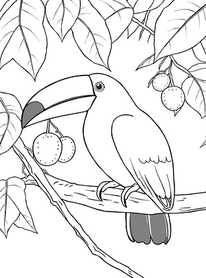 Toucan on Thick Branch - Printable coloring page