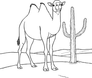 Camel with Tall Cactus - Printable coloring page