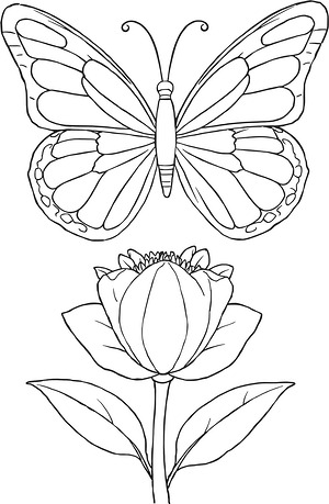 Butterfly on Big Petal - Printable coloring page