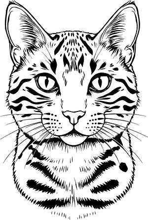 Bengal Cat Stare - Printable coloring page