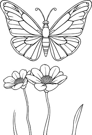 Butterfly on Wide Petals - Printable coloring page