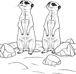 Meerkat Family Alert - Printable coloring page