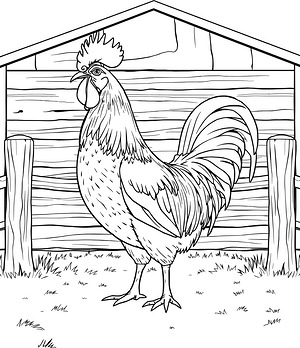 Barnyard Rooster Portrait - Printable coloring page
