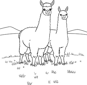 Field Alpaca Friends - Printable coloring page