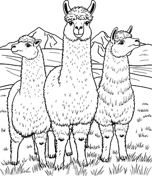 Alpaca Family in Mountain Meadow - Printable coloring page