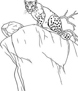 Cougar on Rocky Ledge - Printable coloring page