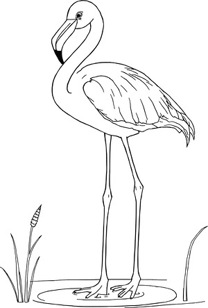 Flamingo in Shallow Water - Printable coloring page