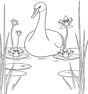 Swan Amid Lily Pads - Printable coloring page