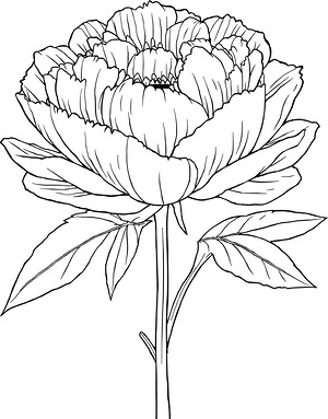 Peony with Broad Leaves - Printable coloring page