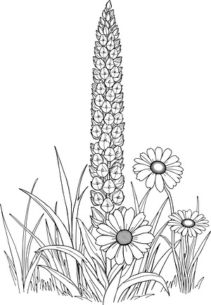 Lupine and Grass Patch - Printable coloring page