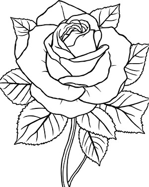 Garden Rose Bloom - Printable coloring page