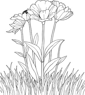 Grassy Wildflower Field - Printable coloring page