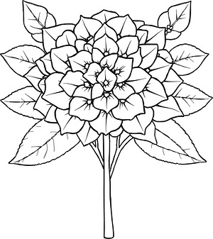 Full Bloom Hydrangeas - Printable coloring page