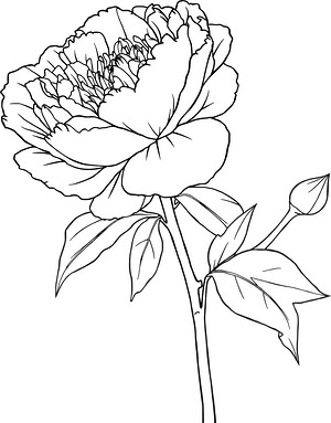 Peony with Leaves - Printable coloring page