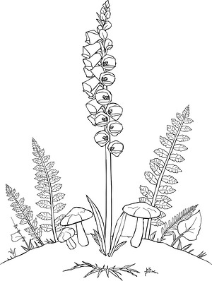Foxgloves Among Ferns - Printable coloring page