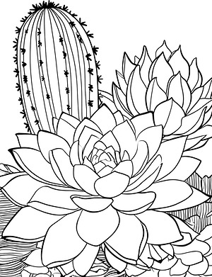 Echeveria with Barrel Cactus - Printable coloring page
