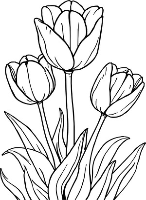 Garden Tulips in Bloom - Printable coloring page