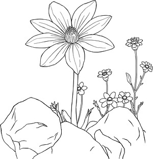 Mountain Flower and Stones - Printable coloring page