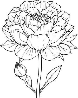 Peony Majesty - Printable coloring page