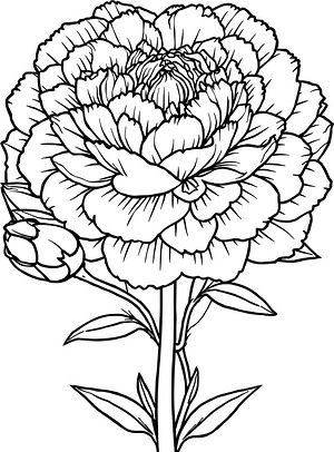 Beautiful Peony Bloom - Printable coloring page