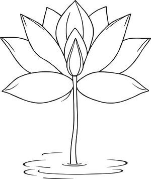 Lotus Flower Spread - Printable coloring page