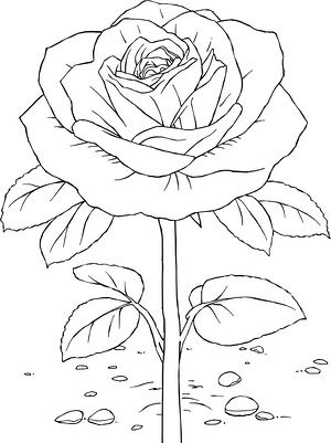 Full Rose in Yard - Printable coloring page