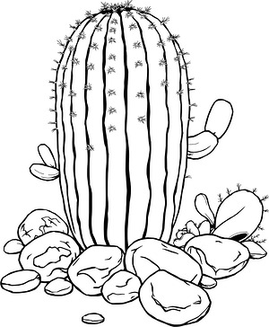 Barrel Cactus Among Desert Stones - Printable coloring page