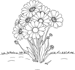 Meadow Full of Daisies - Printable coloring page