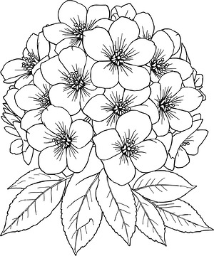 Full Cherry Blossom Cluster - Printable coloring page