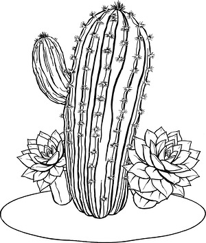 Barrel Cactus with Echeveria - Printable coloring page