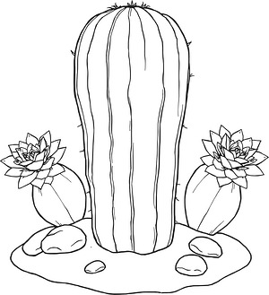 Barrel Cactus Cluster - Printable coloring page