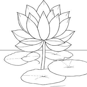 Lotus Flower in Bloom - Printable coloring page