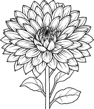 Full Chrysanthemum Flower - Printable coloring page
