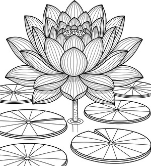 Open Petals and Pads - Printable coloring page