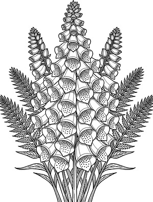 Foxgloves with Ferns - Printable coloring page