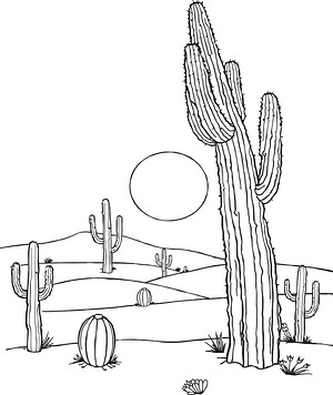 Desert Cactus at Dusk - Printable coloring page
