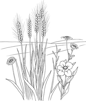 Wheat Stalk Patch - Printable coloring page